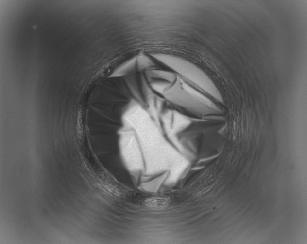 X0000075360700200610061747