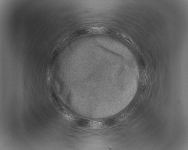 X0000075360701200610061747