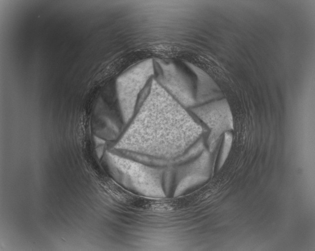 X0000075360702200610061747