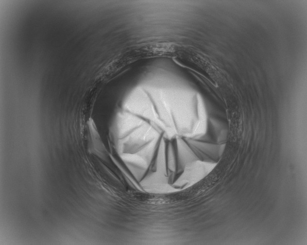 X0000075360704200610061747