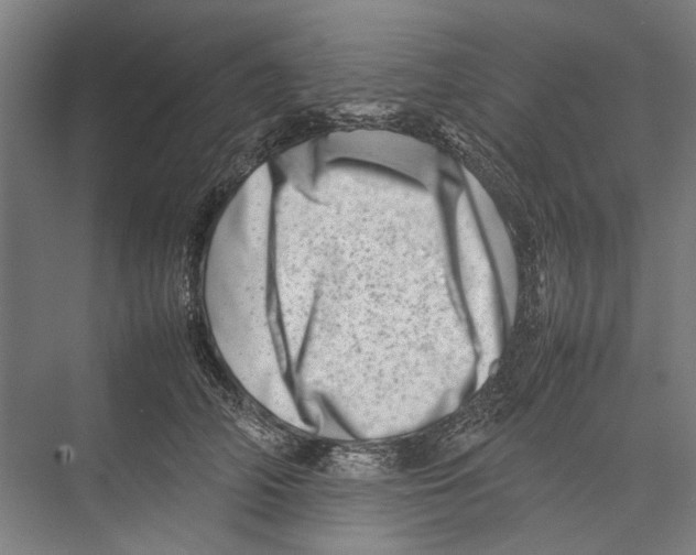 X0000075360706200610061747