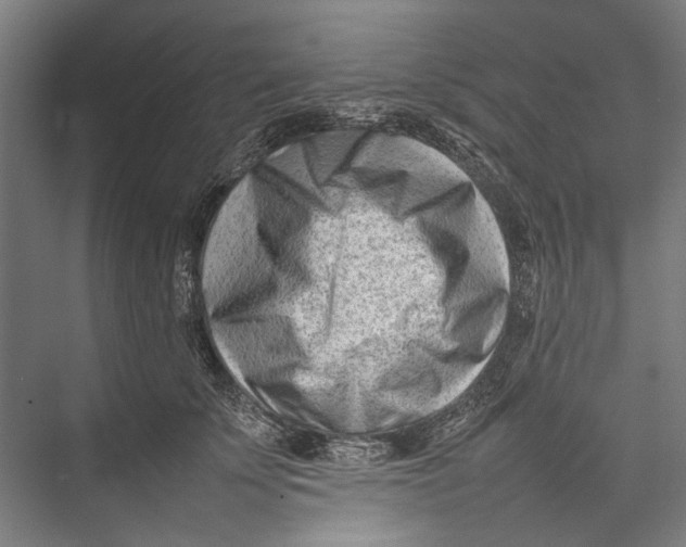 X0000075360707200610061747