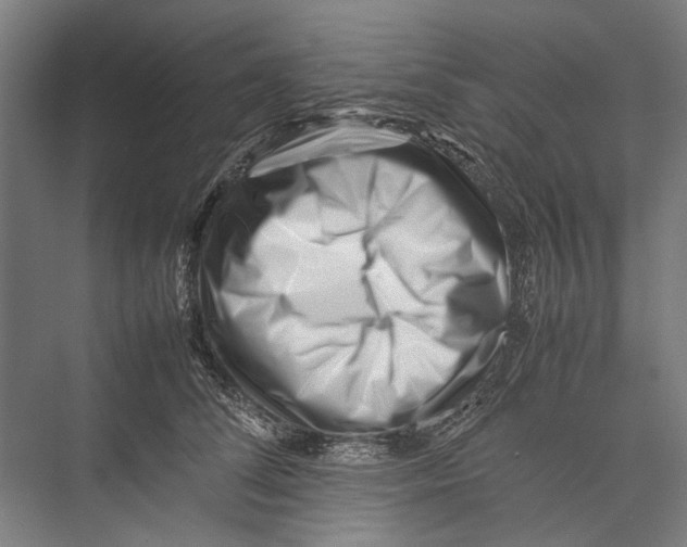 X0000075360708200610061747