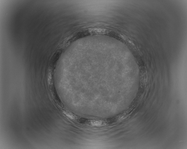 X0000075360709200610061747