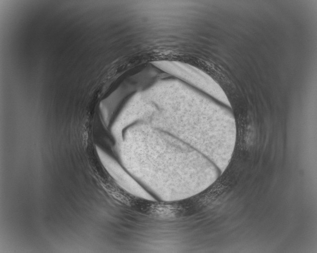 X0000075360710200610061747