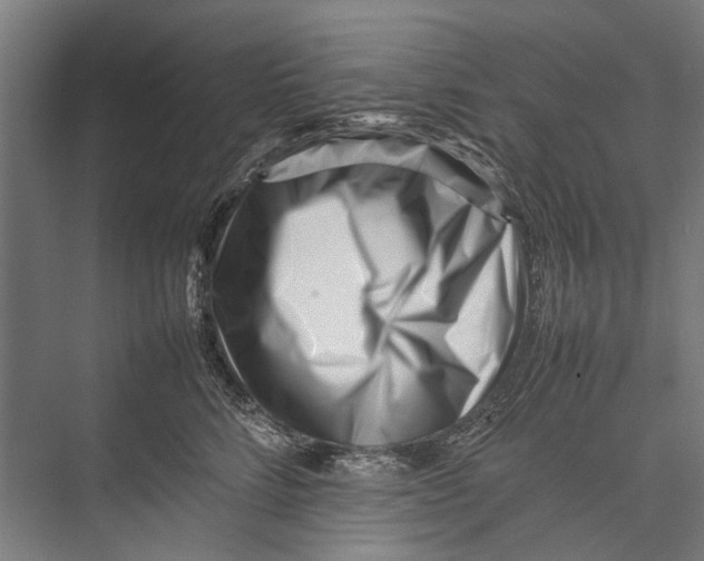 X0000075360712200610061747