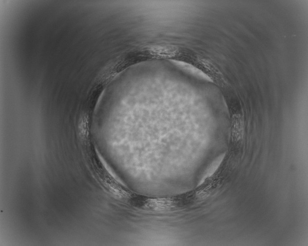 X0000075360713200610061747