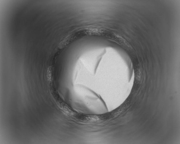 X0000075360715200610061747