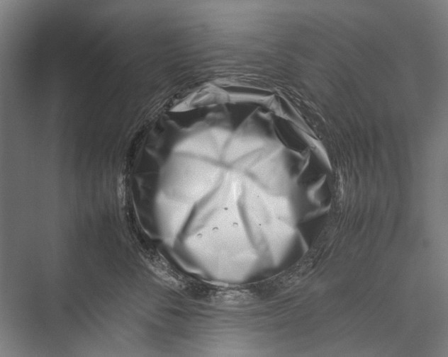 X0000075360716200610061747