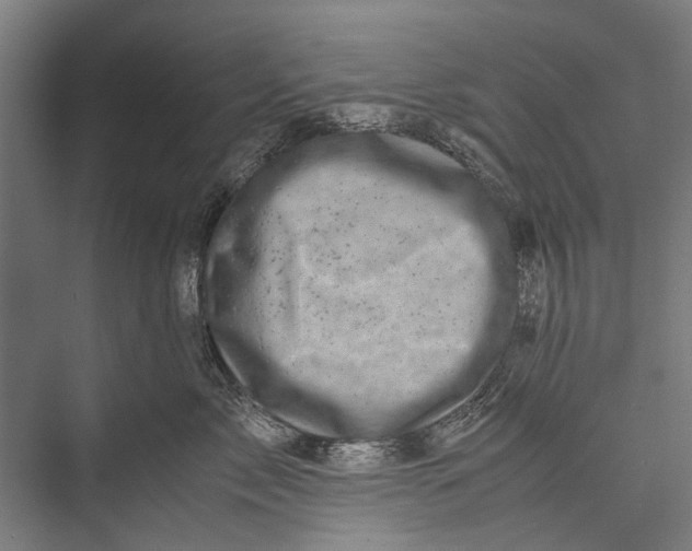 X0000075360717200610061747