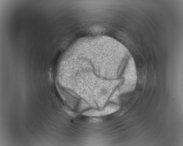 X0000075360718200610061747