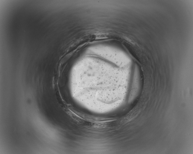 X0000075360720200610061747