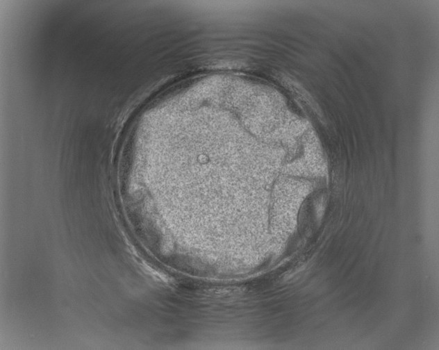 X0000075360721200610061746