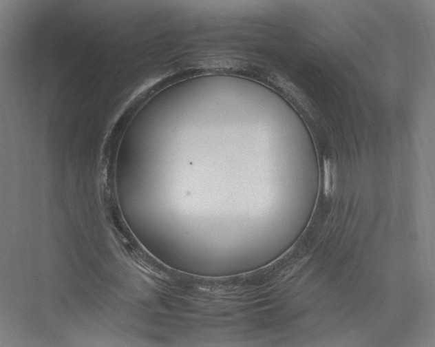 X0000075360723200610061746