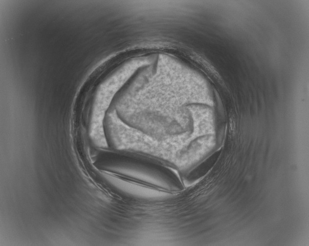 X0000075360724200610061746