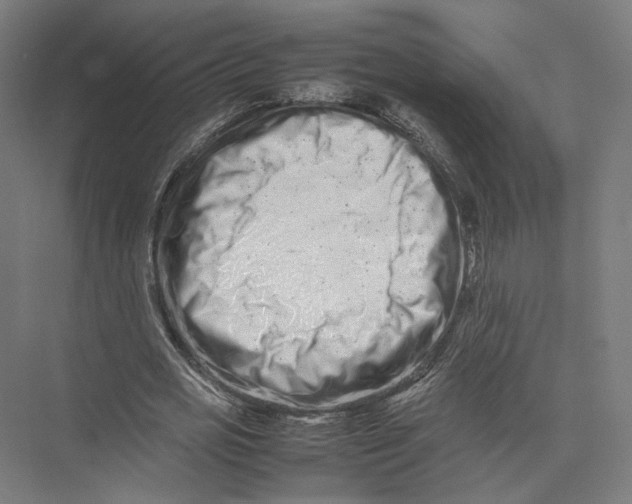 X0000075360725200610061746