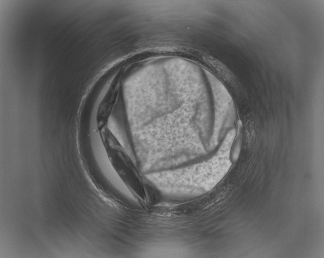 X0000075360728200610061746