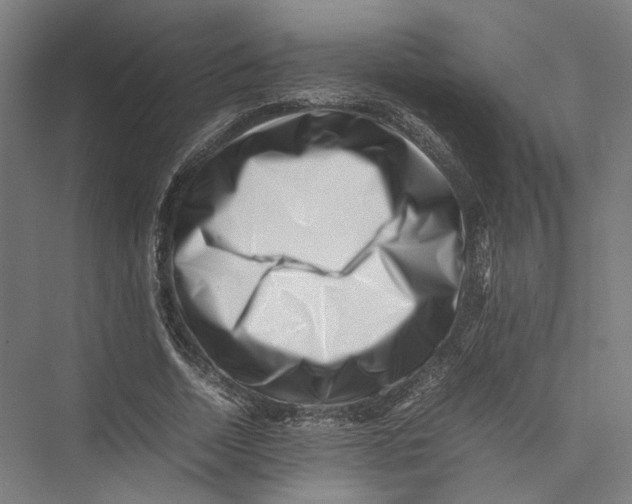 X0000075360730200610061746