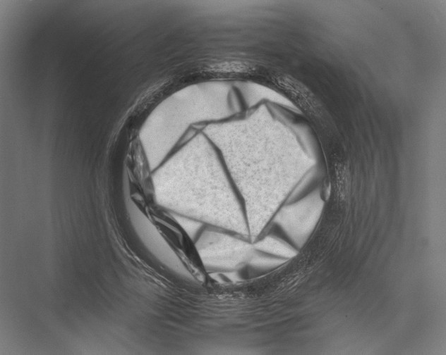 X0000075360731200610061746