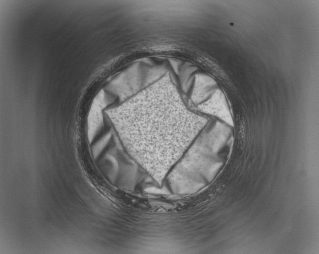 X0000075360732200610061746