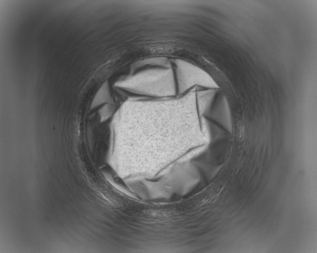 X0000075360733200610061746