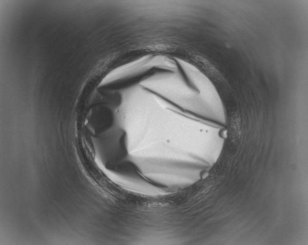 X0000075360734200610061746