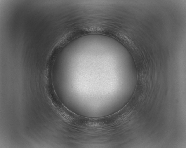 X0000075360735200610061746