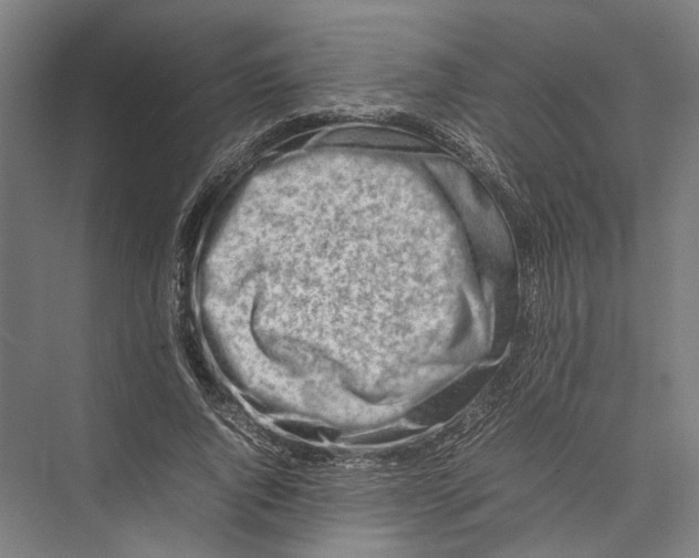 X0000075360736200610061746