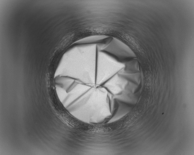 X0000075360738200610061746