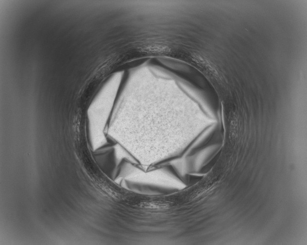 X0000075360739200610061746