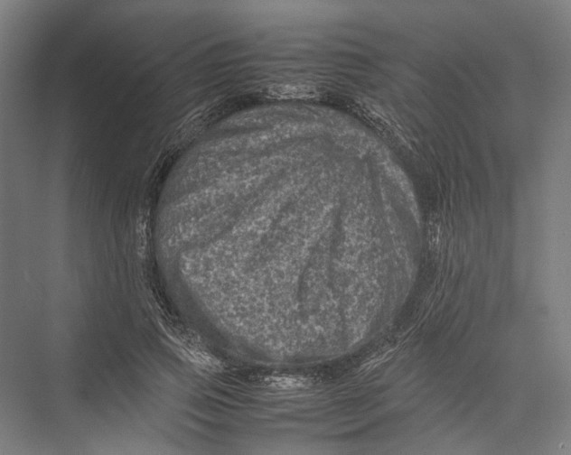 X0000075360741200610061746