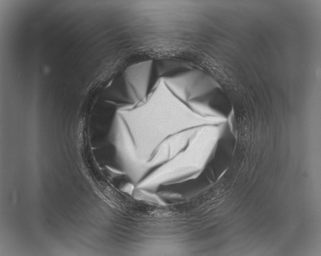 X0000075360742200610061746