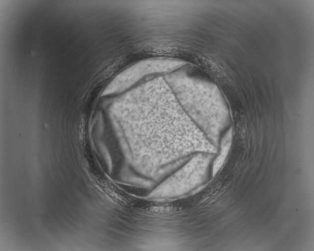 X0000075360744200610061746