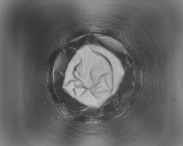 X0000075360746200610061746