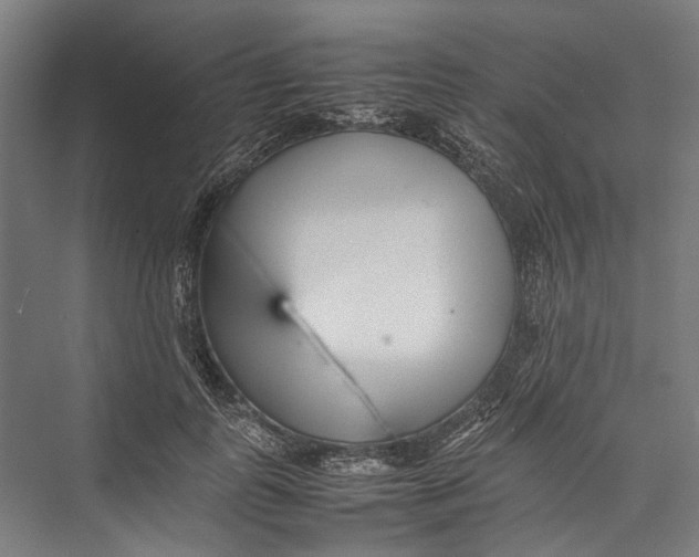 X0000075360747200610061746