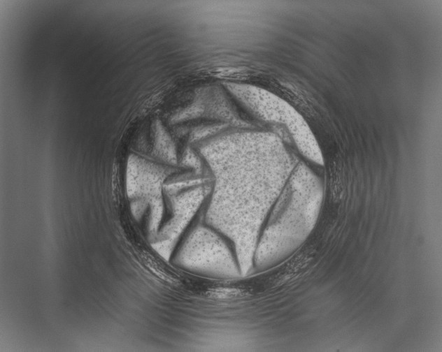 X0000075360748200610061746