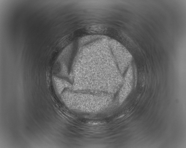 X0000075360749200610061746