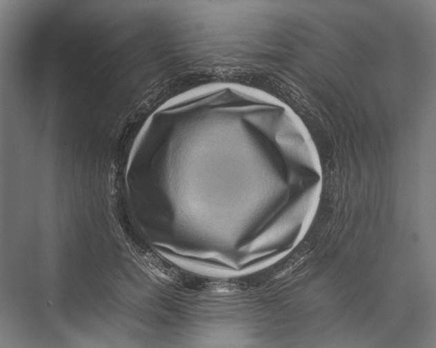 X0000075360750200610061746