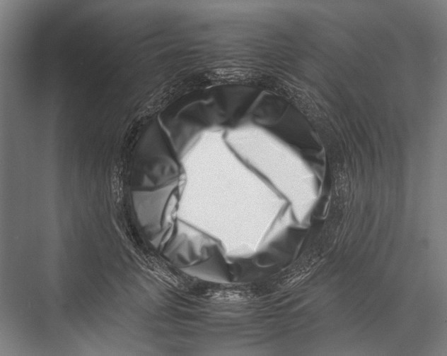 X0000075360751200610061746