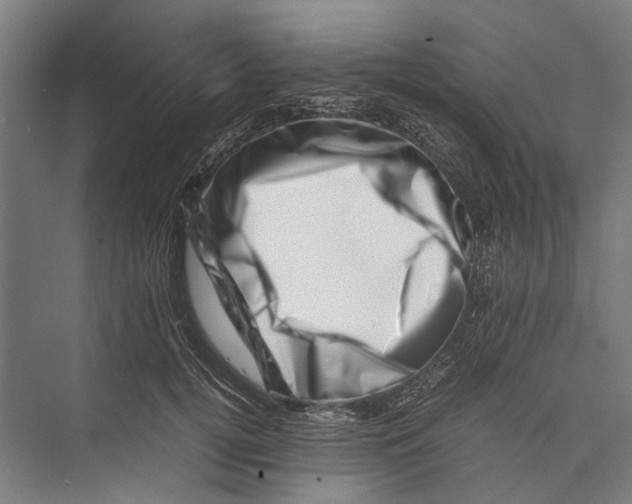 X0000075360752200610061746