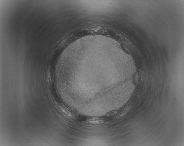 X0000075360754200610061746