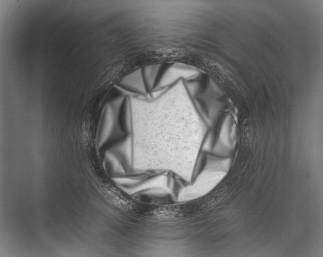 X0000075360756200610061746