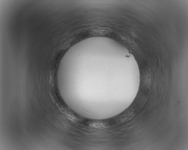 X0000075360759200610061746