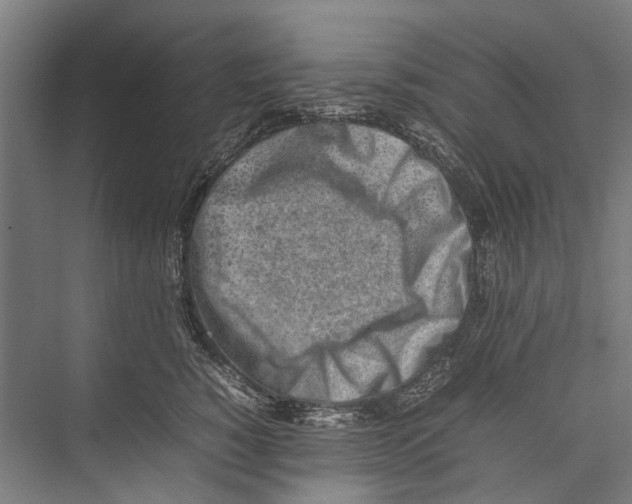 X0000075360760200610061746