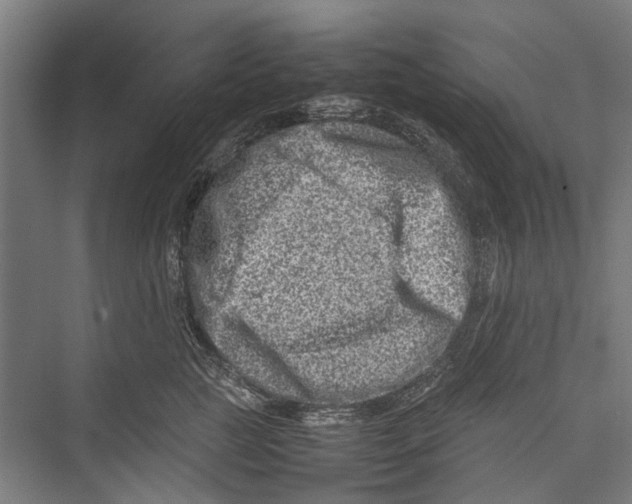 X0000075360761200610061746