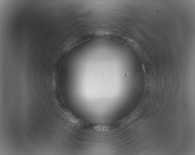 X0000075360762200610061746