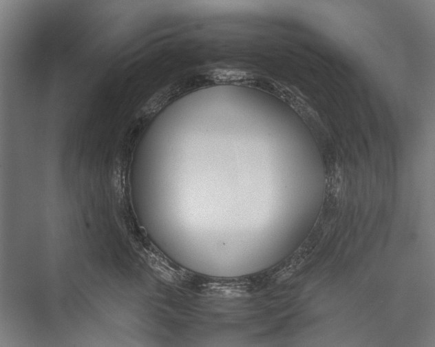 X0000075360763200610061746