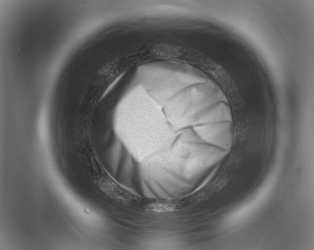 X0000075360765200610061746