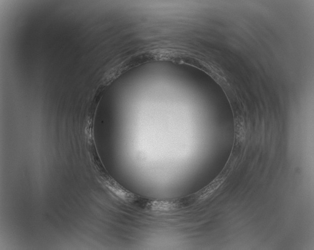 X0000075360766200610061747