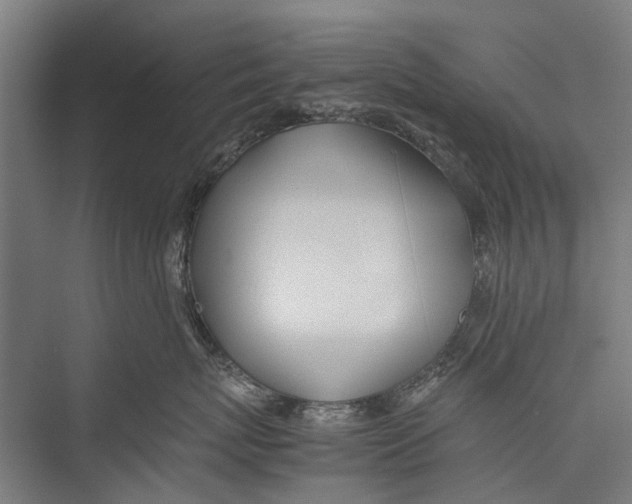 X0000075360767200610061747